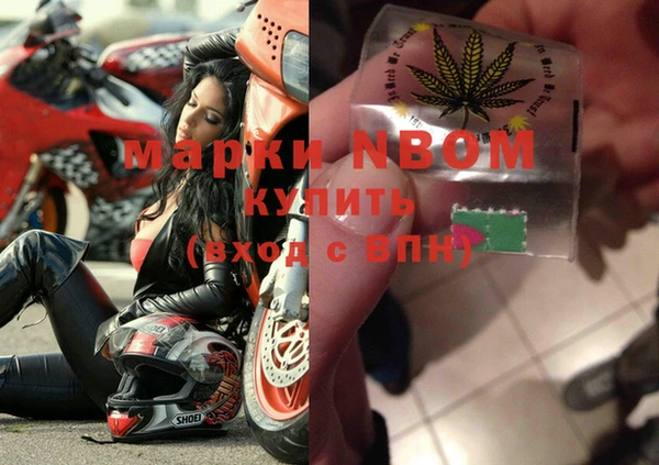 ГАЛЛЮЦИНОГЕННЫЕ ГРИБЫ Козловка