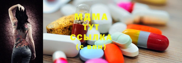 ГАЛЛЮЦИНОГЕННЫЕ ГРИБЫ Козловка