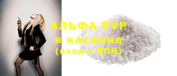 стаф Коряжма