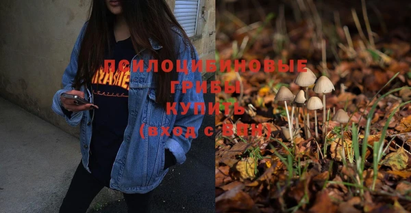 ALPHA-PVP Кодинск