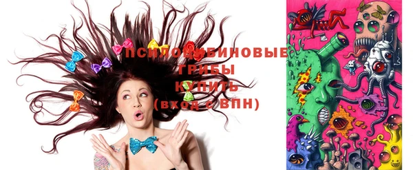ГАЛЛЮЦИНОГЕННЫЕ ГРИБЫ Козловка