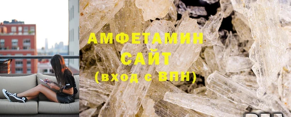 ГАЛЛЮЦИНОГЕННЫЕ ГРИБЫ Козловка