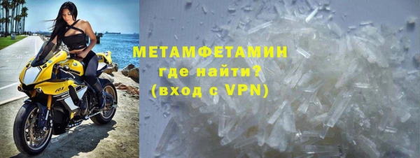 ГАЛЛЮЦИНОГЕННЫЕ ГРИБЫ Козловка